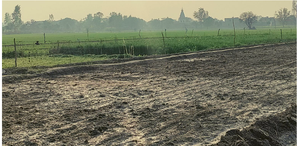 At the Root of Stubble Burning